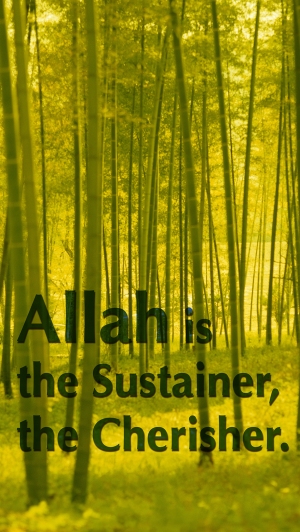 Allah is the Sustainer med